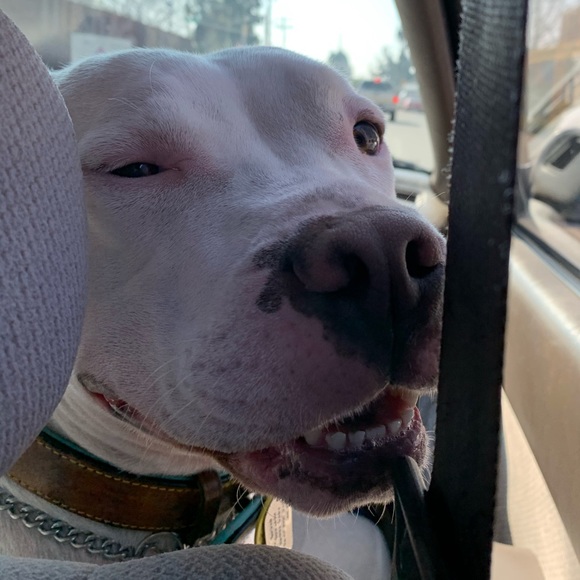 Meet your Posher - Picture 8 of 11